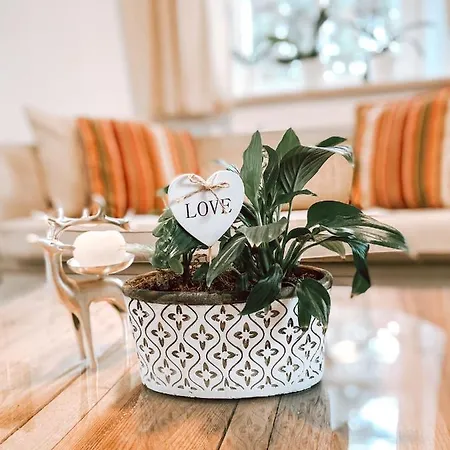 Апартаменты Exquisites Uebernachten In Der Aeltesten Stadt Oesterreichs Эннс