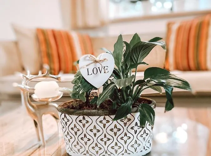 Apartmán Exquisites Uebernachten In Der Aeltesten Stadt Oesterreichs Enns